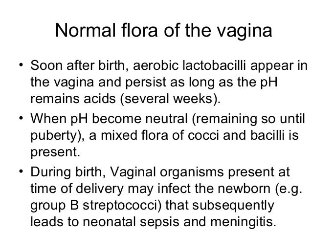 normal vagina flora Whiteteens black cocks